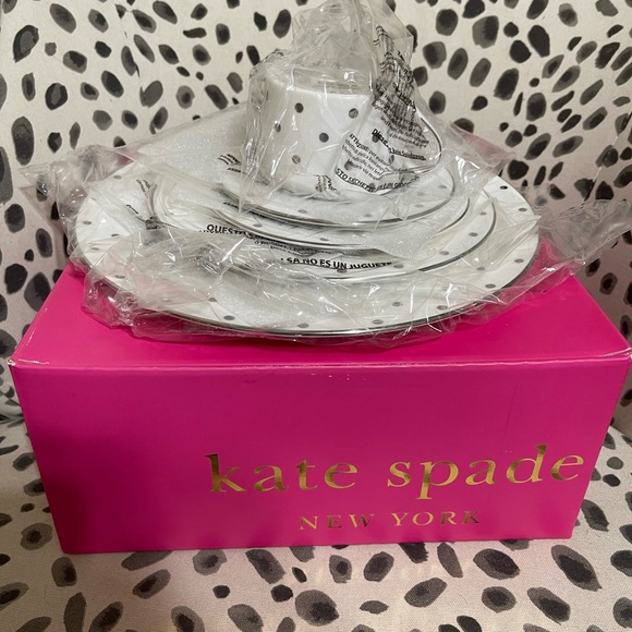 Kate Spade Larabee Road Platinum 5 pc Dinner set - Picture 5 of 7